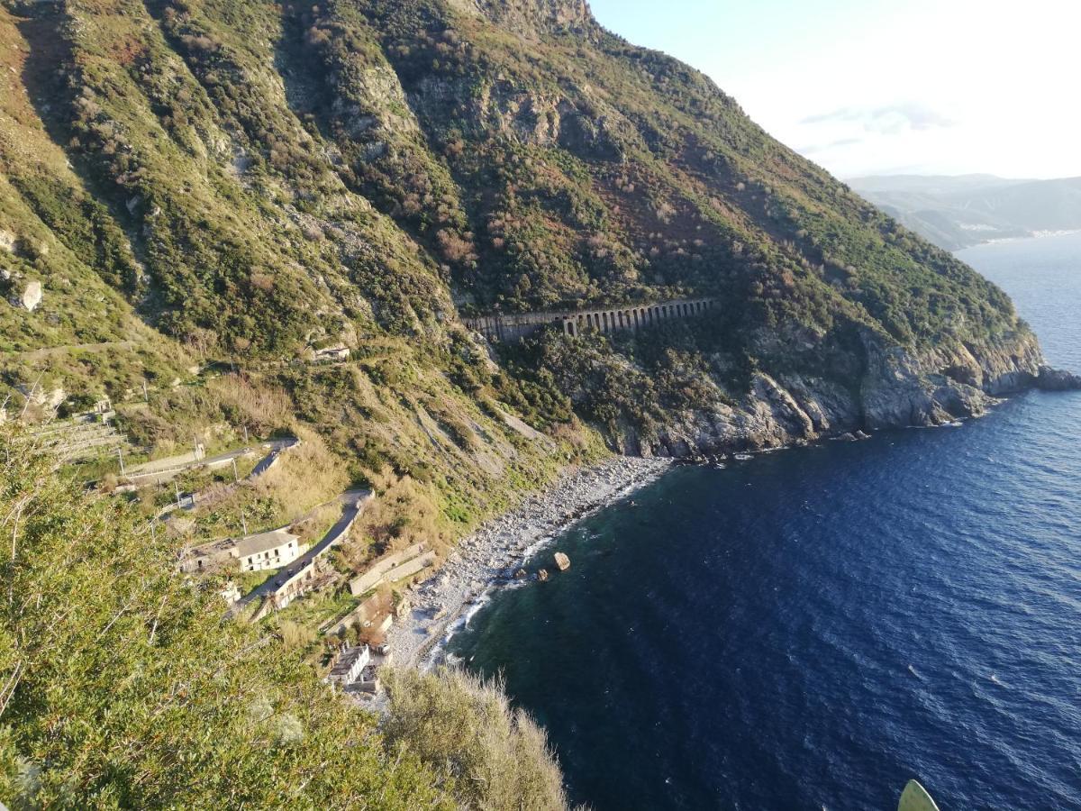 Verde & Mare Palmi Dış mekan fotoğraf