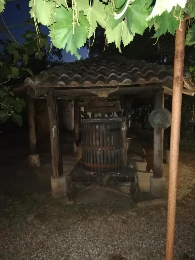 Verde & Mare Palmi Dış mekan fotoğraf